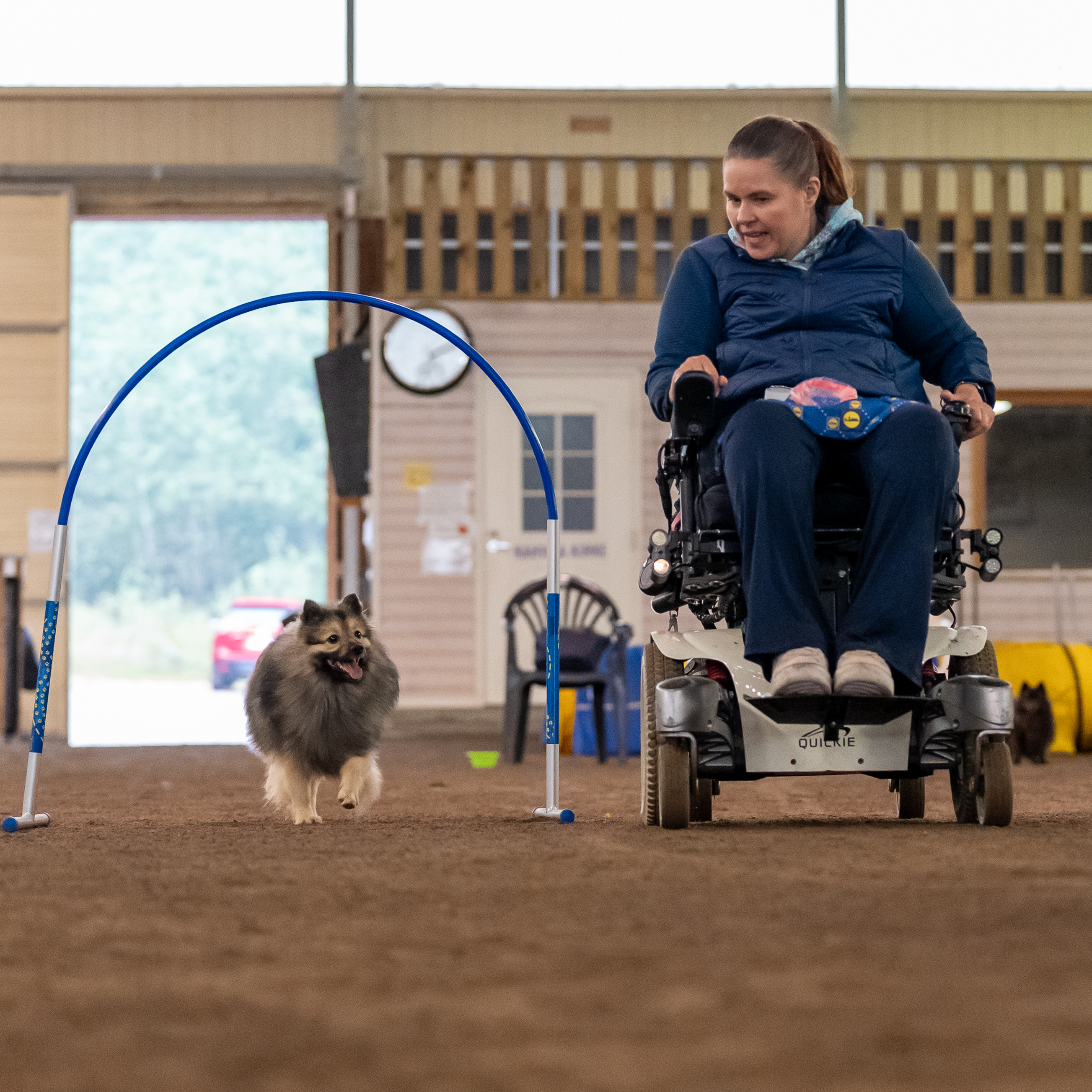 Kuvassa henkilö ajaa sähköpyörätuolilla ja ohjaa koiraa menemään portin läpi agilityradalla.
